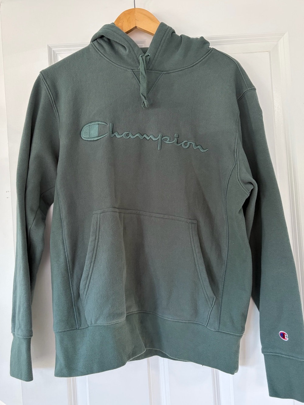 Champion Hoodie-Sage Green